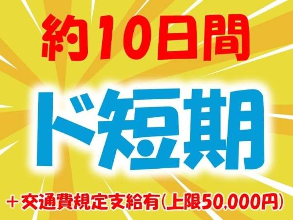 約10日間ド短期